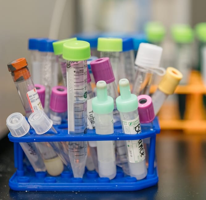 NEW! Access to Human Cell Lines